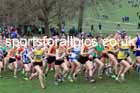 Senior Womens 2026 UK CAU Inter Counties Cross Country, Wollaton Park, Nottingham. Photo: David T. Hewitson/Sports for All Pics